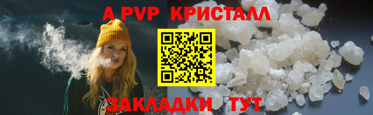 Alfa_PVP СК КРИС  Alfa_PVP  Дербент  Вход с VPN  A PVP СК КРИС  Альфа ПВП Crystall 