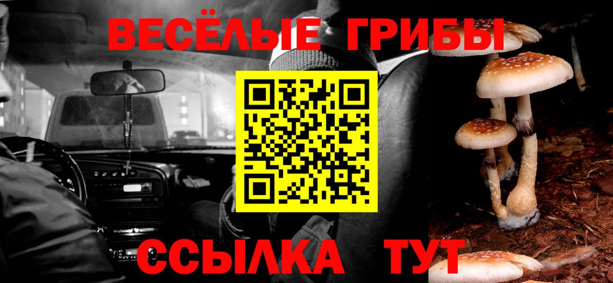 Псилоцибиновые грибы прущие грибы  Вход с VPN  Псилоцибиновые грибы прущие грибы  Дербент 