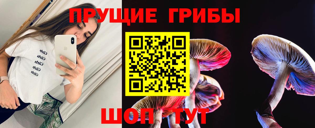 Галлюциногенные грибы MAGIC MUSHROOMS Дербент
